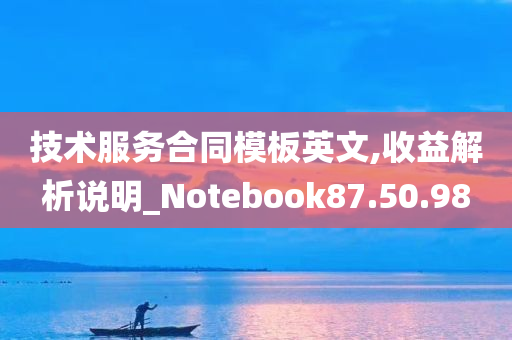 技术服务合同模板英文,收益解析说明_Notebook87.50.98