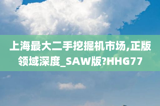 上海最大二手挖掘机市场,正版领域深度_SAW版?HHG77