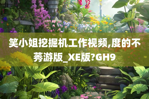 笑小姐挖掘机工作视频,度的不莠游版_XE版?GH9