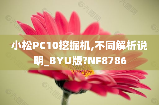 小松PC10挖掘机,不同解析说明_BYU版?NF8786