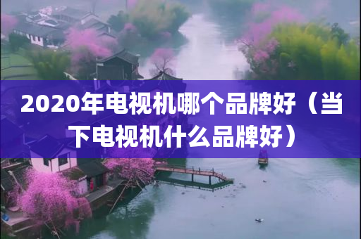 2020年电视机哪个品牌好（当下电视机什么品牌好）