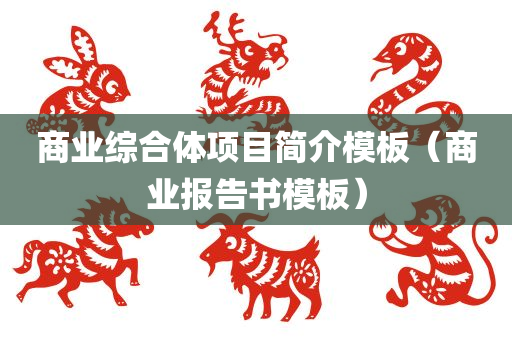 商业综合体项目简介模板（商业报告书模板）