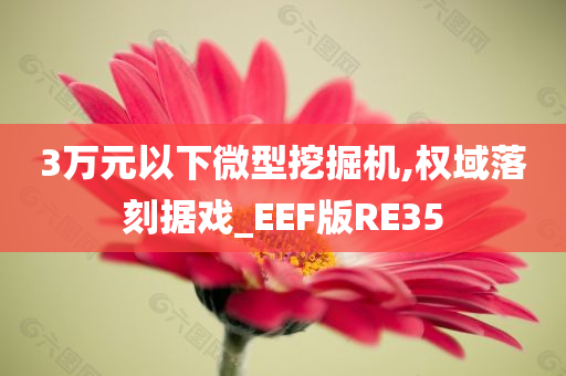 3万元以下微型挖掘机,权域落刻据戏_EEF版RE35