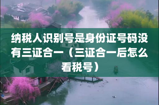 纳税人识别号是身份证号码没有三证合一（三证合一后怎么看税号）