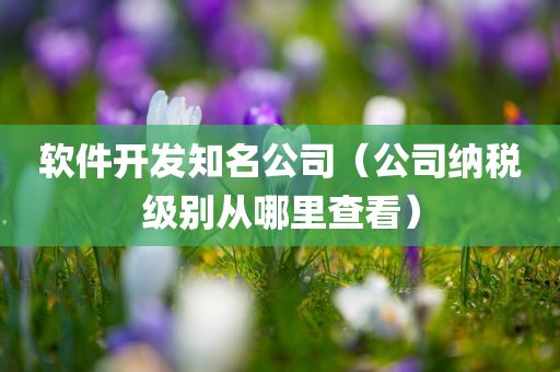 软件开发知名公司（公司纳税级别从哪里查看）