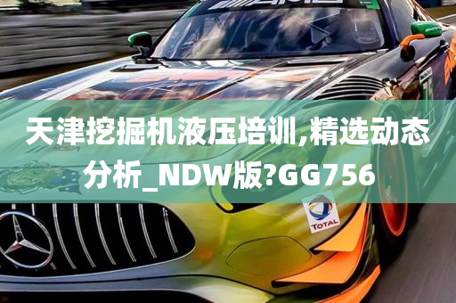 天津挖掘机液压培训,精选动态分析_NDW版?GG756