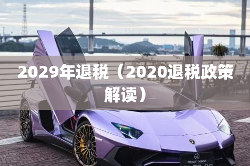 2029年退税（2020退税政策解读）