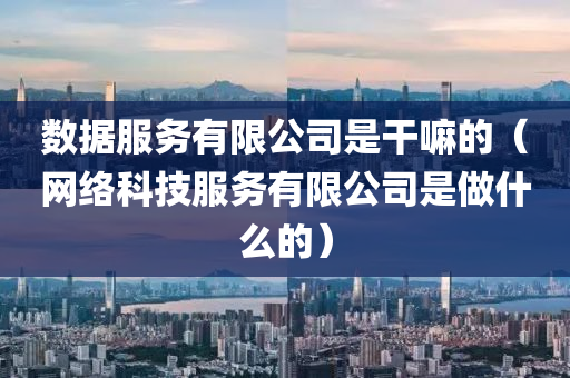 数据服务有限公司是干嘛的（网络科技服务有限公司是做什么的）