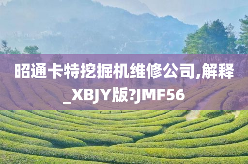 昭通卡特挖掘机维修公司,解释_XBJY版?JMF56