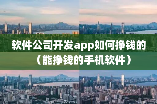 软件公司开发app如何挣钱的（能挣钱的手机软件）