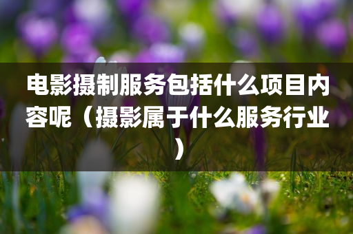 电影摄制服务包括什么项目内容呢（摄影属于什么服务行业）