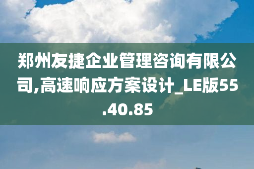 郑州友捷企业管理咨询有限公司,高速响应方案设计_LE版55.40.85