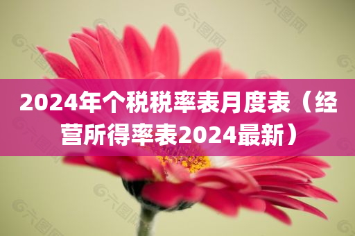 2024年个税税率表月度表（经营所得率表2024最新）