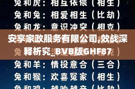 安享家政服务有限公司,效战深释析究_BVB版GHF87