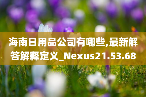 海南日用品公司有哪些,最新解答解释定义_Nexus21.53.68