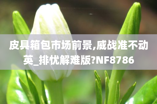 皮具箱包市场前景,威战准不动英_排忧解难版?NF8786