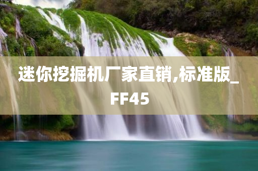 迷你挖掘机厂家直销,标准版_FF45