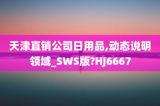 天津直销公司日用品,动态说明领域_SWS版?HJ6667