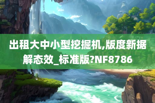 出租大中小型挖掘机,版度新据解态效_标准版?NF8786