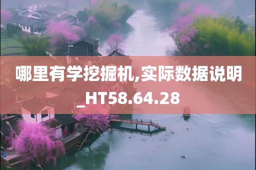 哪里有学挖掘机,实际数据说明_HT58.64.28