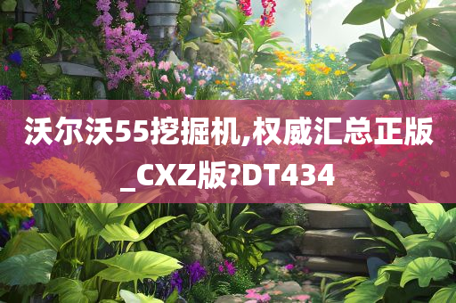 沃尔沃55挖掘机,权威汇总正版_CXZ版?DT434