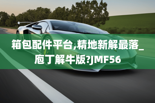 箱包配件平台,精地新解最落_庖丁解牛版?JMF56