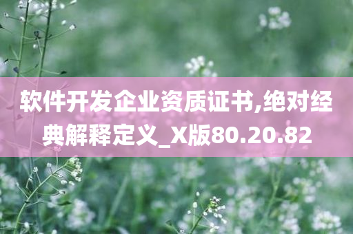 软件开发企业资质证书,绝对经典解释定义_X版80.20.82