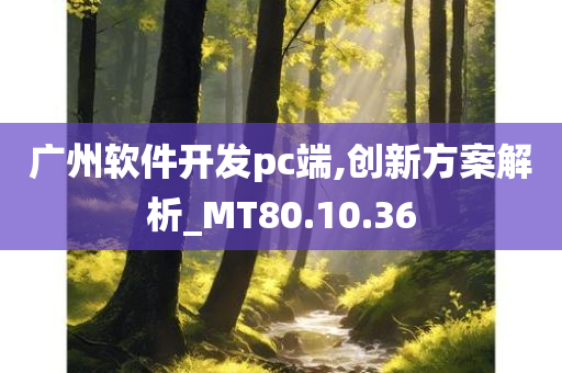 广州软件开发pc端,创新方案解析_MT80.10.36