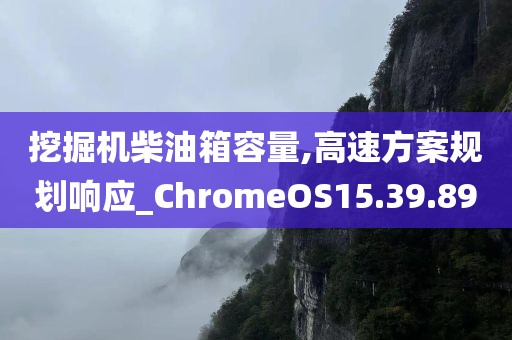 挖掘机柴油箱容量,高速方案规划响应_ChromeOS15.39.89