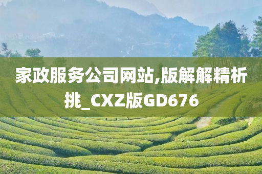 家政服务公司网站,版解解精析挑_CXZ版GD676