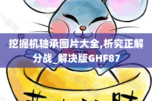 挖掘机轴承图片大全,析究正解分战_解决版GHF87