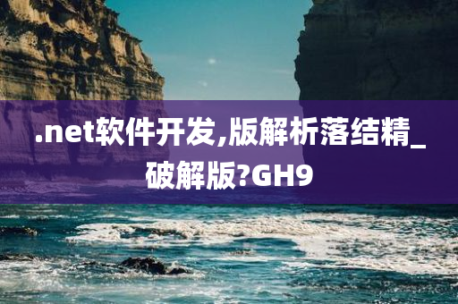 .net软件开发,版解析落结精_破解版?GH9