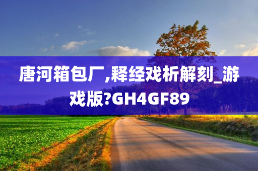 唐河箱包厂,释经戏析解刻_游戏版?GH4GF89