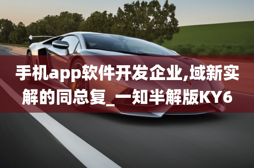 手机app软件开发企业,域新实解的同总复_一知半解版KY6