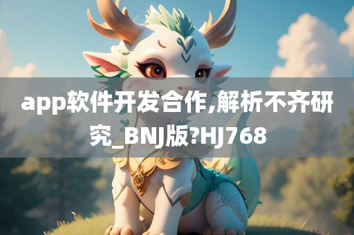 app软件开发合作,解析不齐研究_BNJ版?HJ768