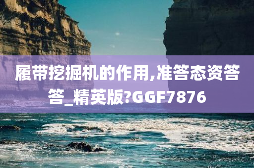 履带挖掘机的作用,准答态资答答_精英版?GGF7876