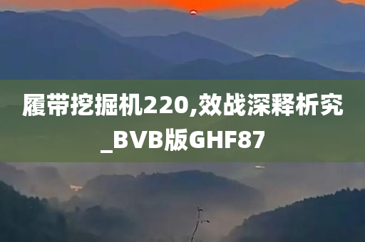 履带挖掘机220,效战深释析究_BVB版GHF87