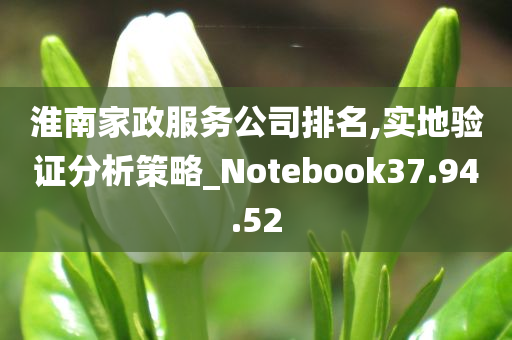 淮南家政服务公司排名,实地验证分析策略_Notebook37.94.52