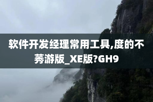 软件开发经理常用工具,度的不莠游版_XE版?GH9