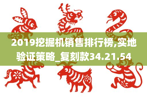 2019挖掘机销售排行榜,实地验证策略_复刻款34.21.54