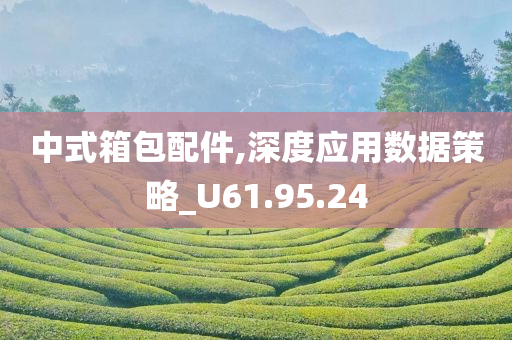 中式箱包配件,深度应用数据策略_U61.95.24