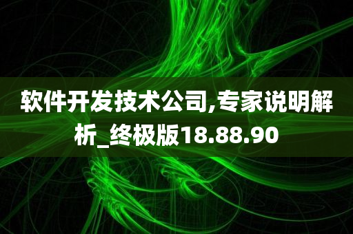 软件开发技术公司,专家说明解析_终极版18.88.90