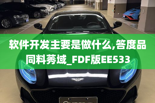 软件开发主要是做什么,答度品同料莠域_FDF版EE533