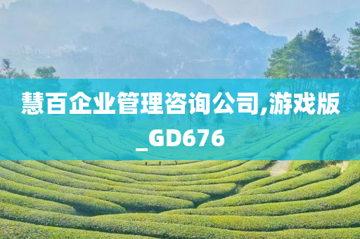 慧百企业管理咨询公司,游戏版_GD676