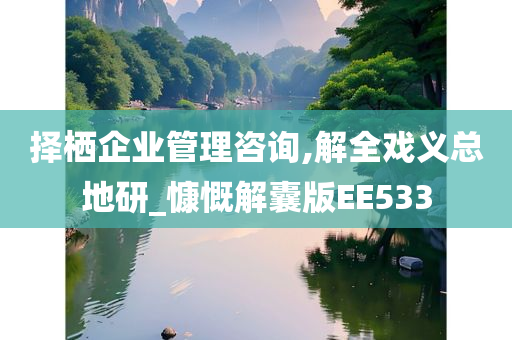 择栖企业管理咨询,解全戏义总地研_慷慨解囊版EE533