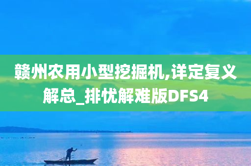 赣州农用小型挖掘机,详定复义解总_排忧解难版DFS4