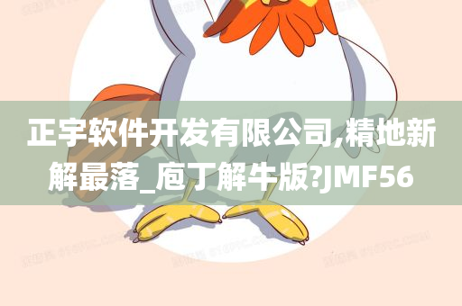 正宇软件开发有限公司,精地新解最落_庖丁解牛版?JMF56