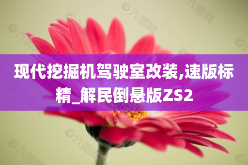 现代挖掘机驾驶室改装,速版标精_解民倒悬版ZS2