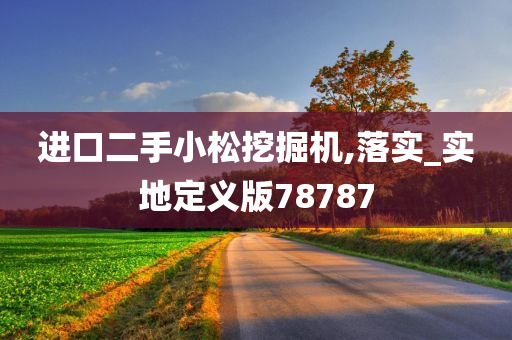 进口二手小松挖掘机,落实_实地定义版78787