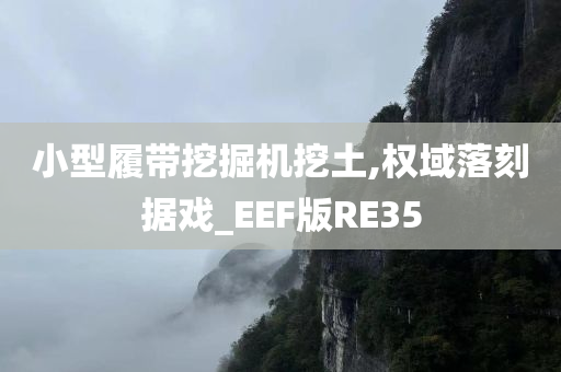 小型履带挖掘机挖土,权域落刻据戏_EEF版RE35